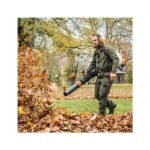 Souffleur à dos BR800 C-E STIHL – Image 2